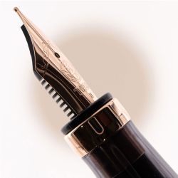 Ручка перьевая TWSBI Diamond 580 RG II с пером F (M7447600) 3