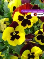 Виола Трампет S1 красные крылья семена 30шт