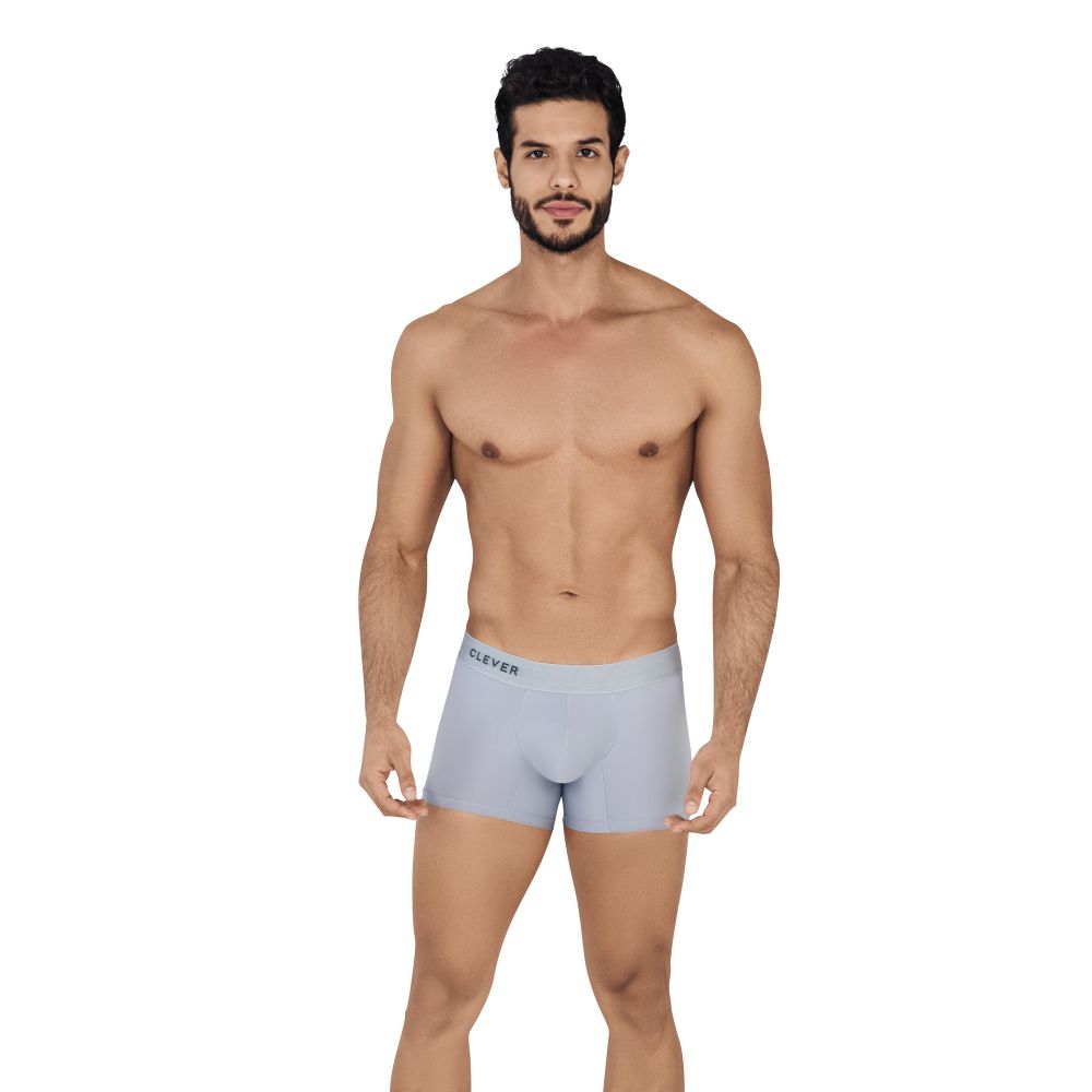 Мужские трусы боксеры серые Clever WARM BOXER 053213