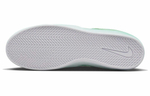 Кроссовки Nike Sb Ishod