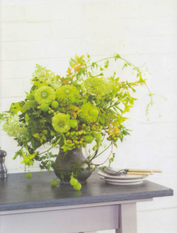 The Flower Workshop