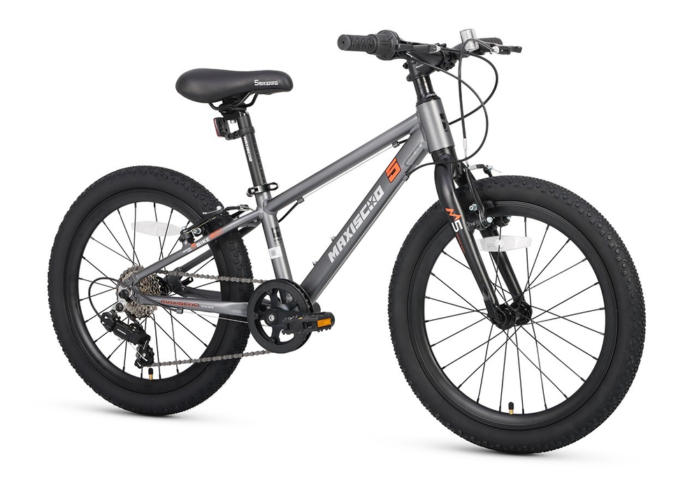 Maxiscoo 5BIKE 20'' M200 (2025)