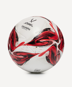 Мяч футбольный Triumph Pro №5