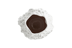 Ваза для цветов 25.5см Home & Style Текстура Gloria белая