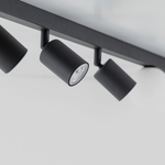 Потолочный светильник со стеклянными плафонами 10004 Vox