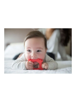 Dr. Brown's силиконовая игрушка прорезыватель грызунок для зубов и десен Лисичка