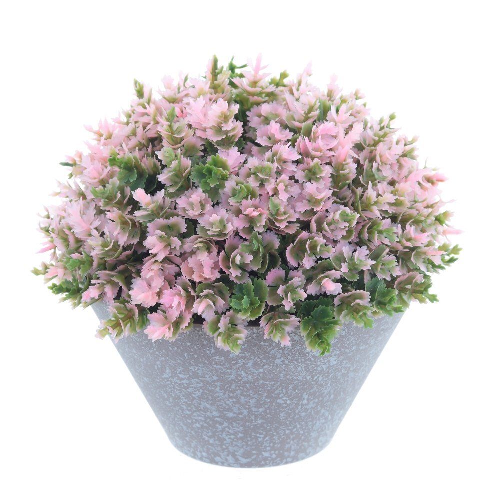 GAEM Цветочная композиция, L13 W13 H13 см, 5в.