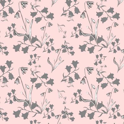 Полевые весенние цветы, графика, силуэты.