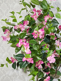 Бугенвиллия дерево 150см малиновая в кашпо