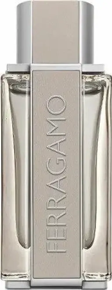 Мужская туалетная вода Salvatore Ferragamo Bright Leather EDT 100 мл