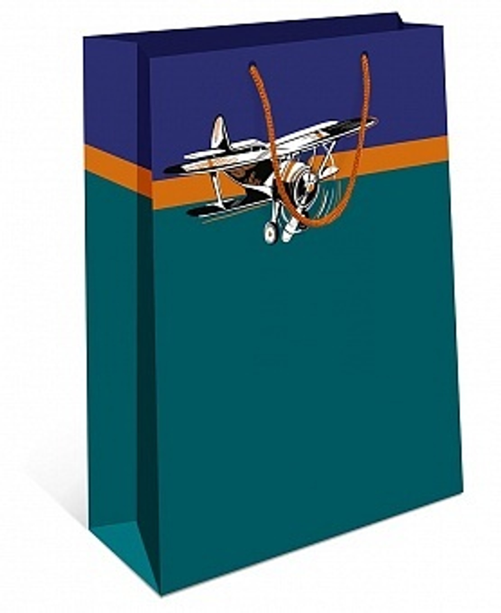Пакет подарочный Аэроплан 18*22*10 см.