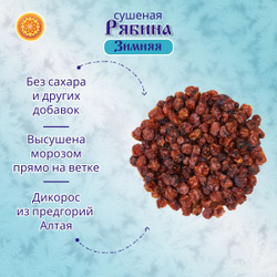 Рябина красная 500 гр. Алтайская "Зимняя" ягода сушеная