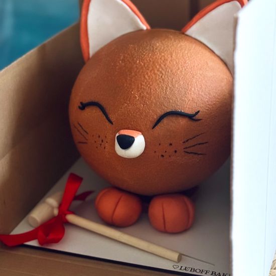 Шоу-торт бомба лисенок с сюрпризом внутри