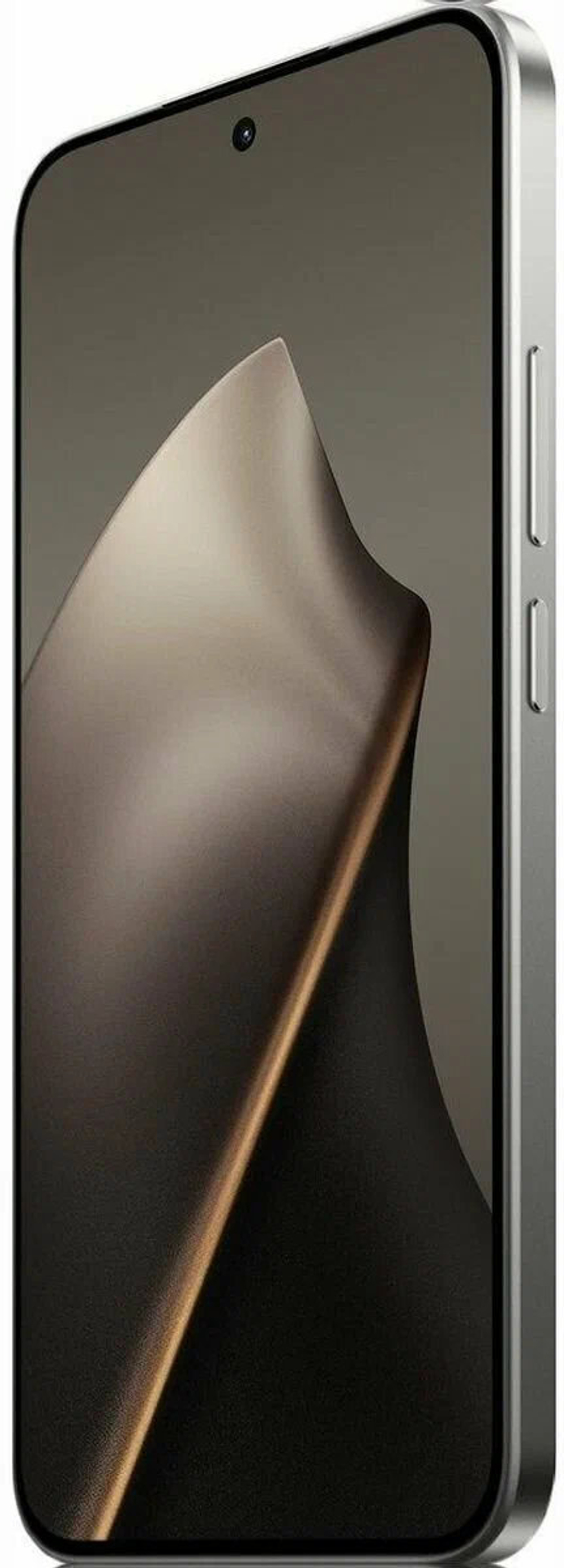 Xiaomi 15T 12/256Gb RU Gray