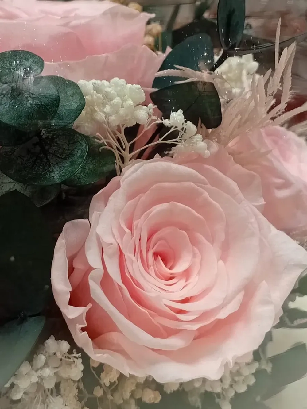 натуральные розы в стекле, вакуум*