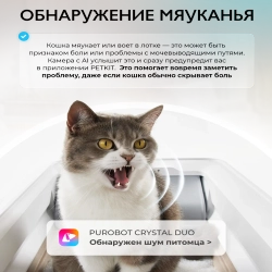 Открытый автоматический лоток с камерой Purobot Crystal Duo PETKIT