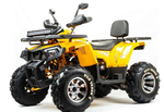Квадроцикл MOTOLAND (МОТОЛЕНД) 200 WILD TRACK X PRO (баланс. вал)