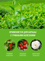 ФУНГИЦИД БИО ИНТА-ВИР АЛИРИН-Б 10ТАБ