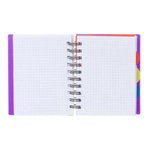 Блокнот Basir, формат А6, серия "Office", пластиковая обложка, 14.5*10 см, 120 листов, 3 цветных пластиковых разделителя, 4 цвета ассорти