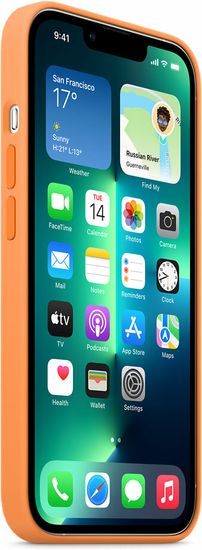 Чехол Apple MagSafe для iPhone 13 Pro, силикон, «весенняя мимоза»