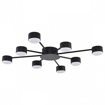 Потолочная люстра Lumion TORINA 8344/8C