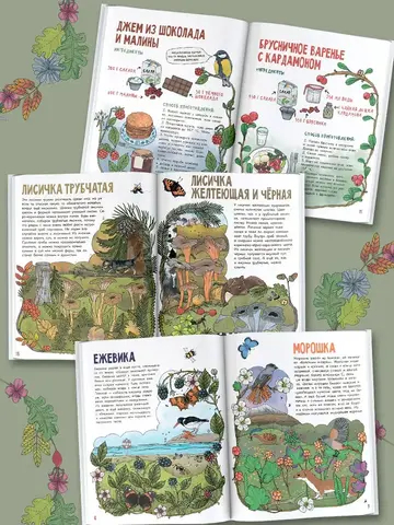 Грибы и ягоды