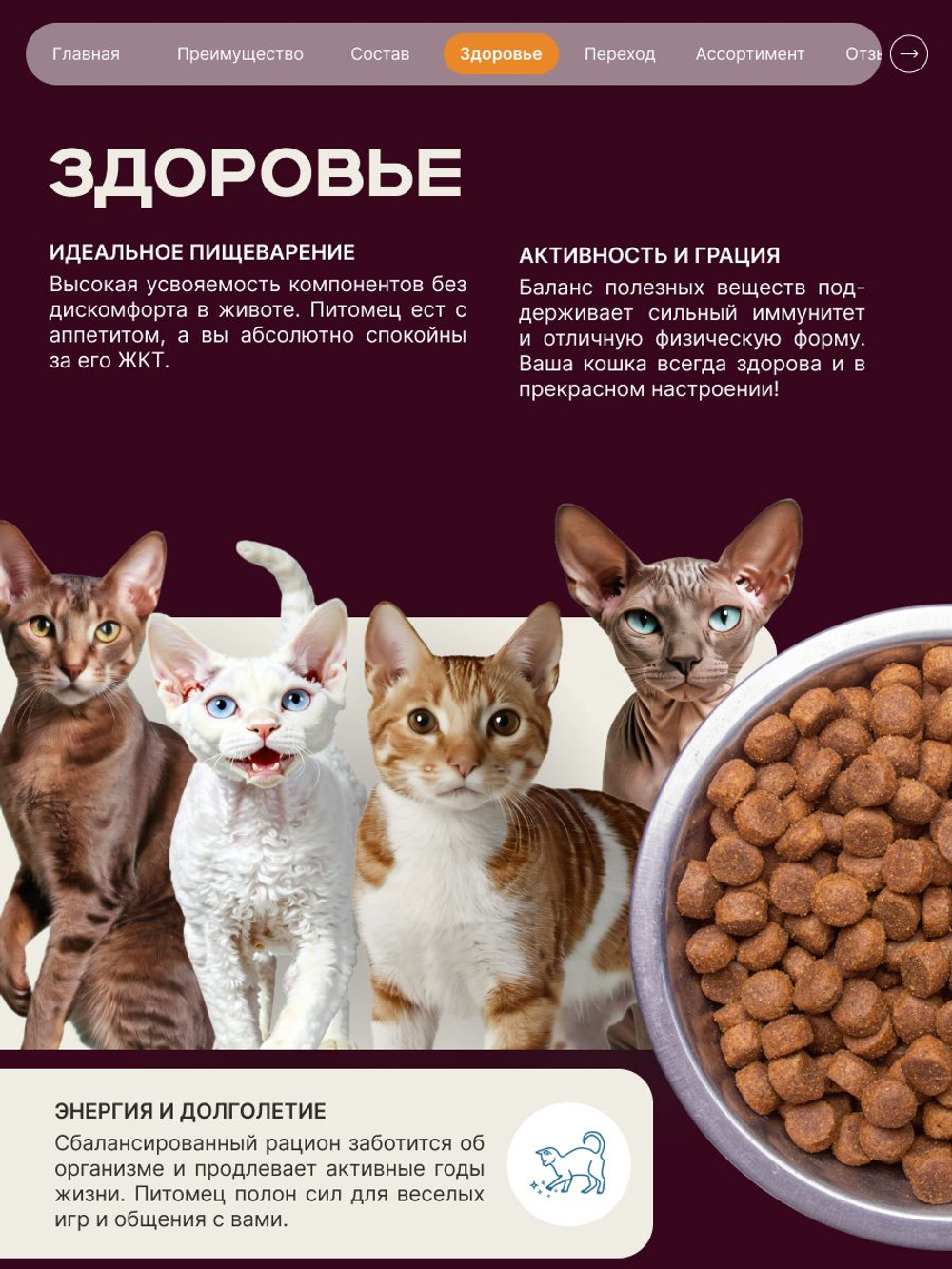 Корм сухой для взрослых стерилизованных кошек породы Сфинкс, полнорационный комплекс, с лососем, 400 гр, QUATTRO