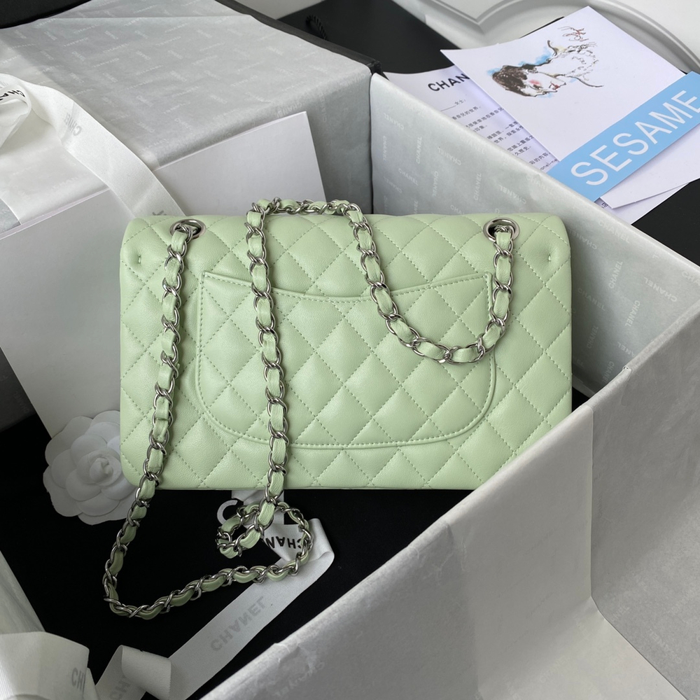 Chane1 Classic Flap Bag 25 cm
