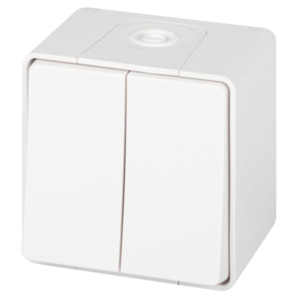 Выключатель ЭРА Эксперт 11-1504-01 двойной IP55, 10АХ-250В, ОУ, белый | Эра Эксперт