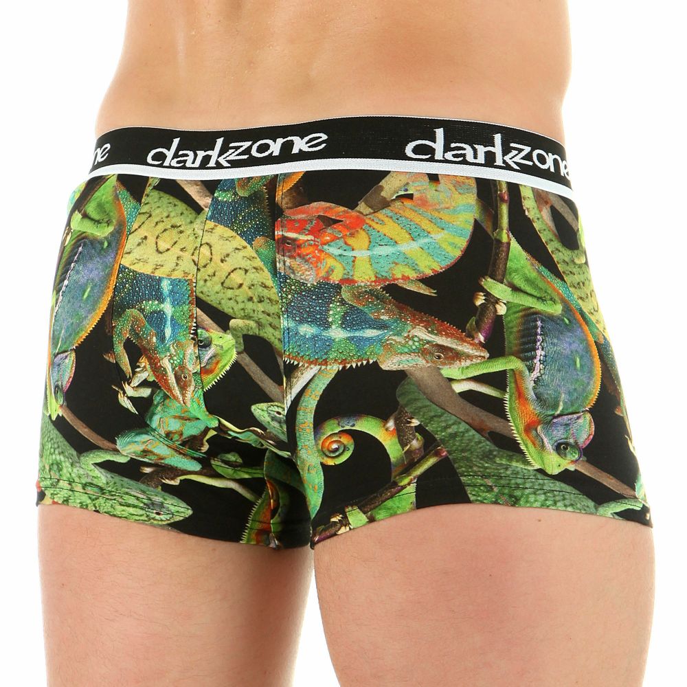 Мужские трусы боксеры с принтом  DARKZONE DZN1510
