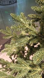 Искусственная ель на ножке «Датская» (хвоя Литая) 210 см / 2.1 м