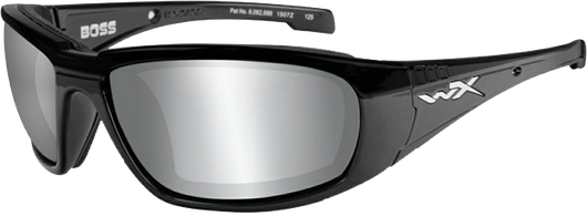 Очки WILEY X BOSS