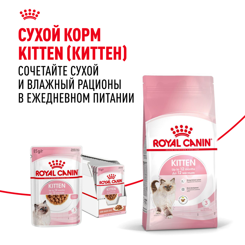Royal Canin Kitten консервированный корм для котят в возрасте до 12 месяцев в соусе 85г