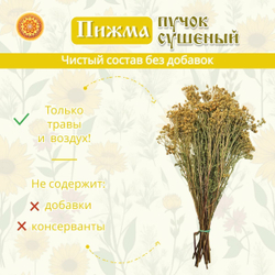 Пижма, пучок (1 шт.)  ПЖПЧ-00-001