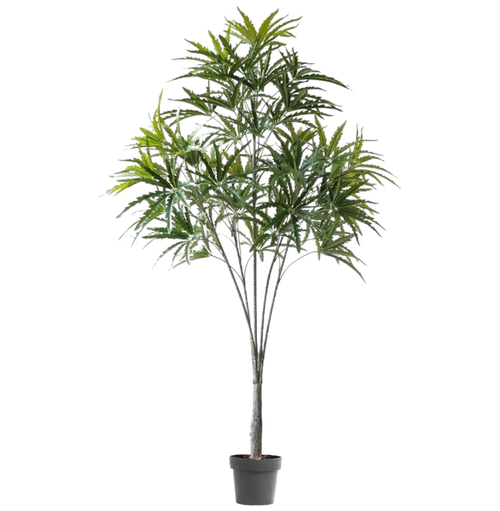 Дизиготека 165 см