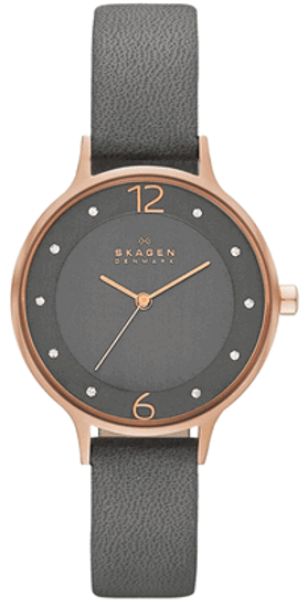 Наручные часы Skagen SKW2267