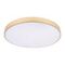 Потолочный светодиодный светильник Loft IT Flims 10228/B