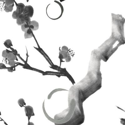 Дзен и ветка сакуры