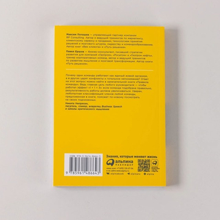 Правила команды. Искусство думать вместе. Максим Поташев, Павел Ершов