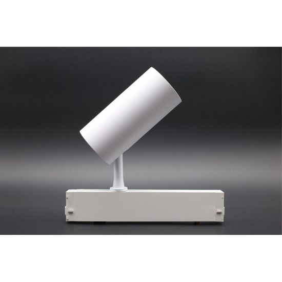 Светильник трековый APL.0205.10.20