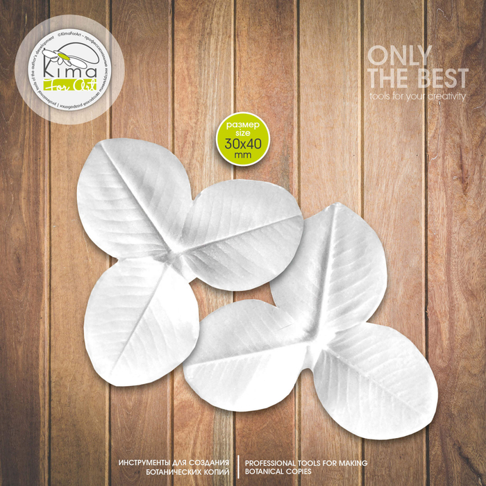 Клевер лист маленький