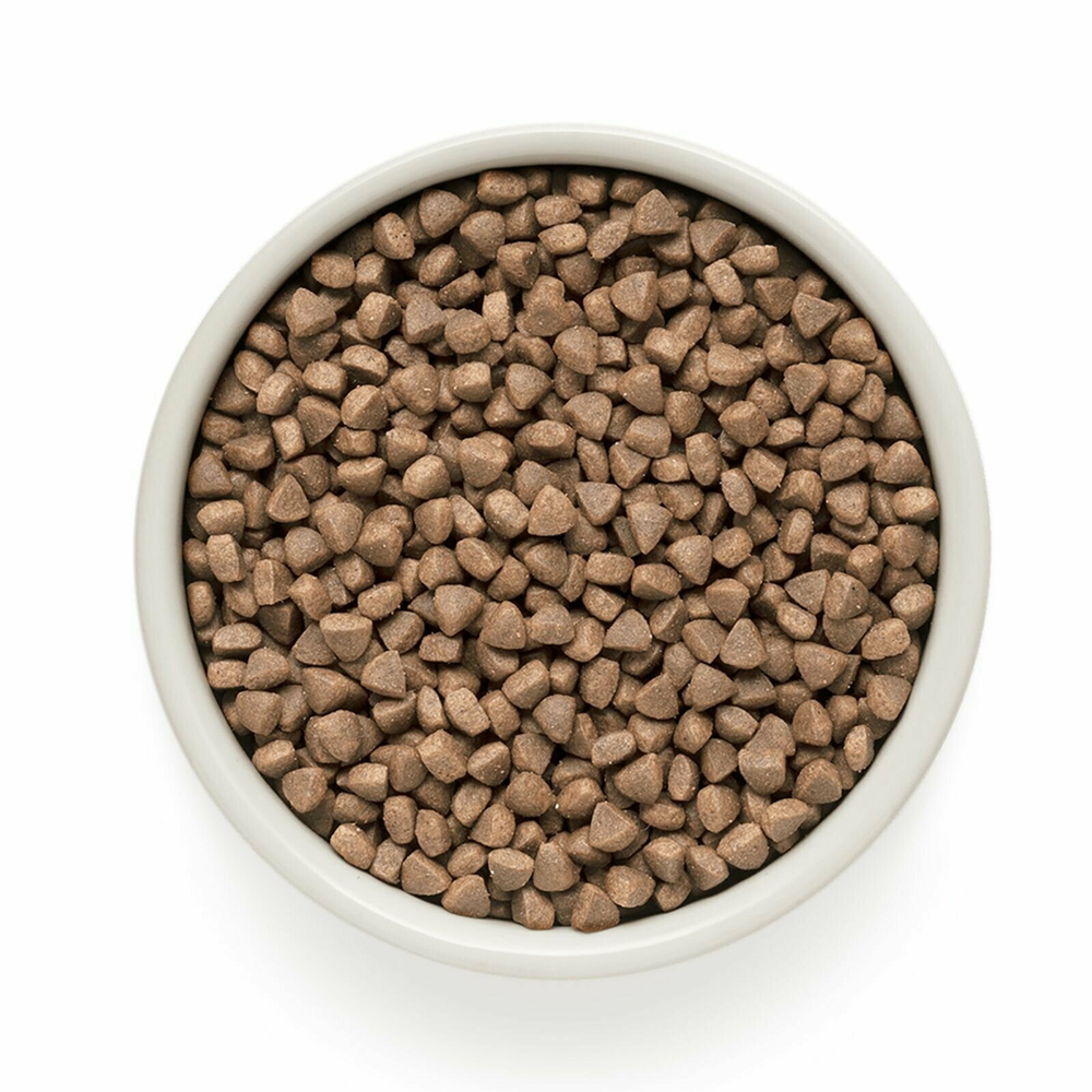 Корм сухой для кошек с белой рыбой и индейкой, пакет 400г, Grandorf Cat White Fish & Turkey Skin & Coat Care