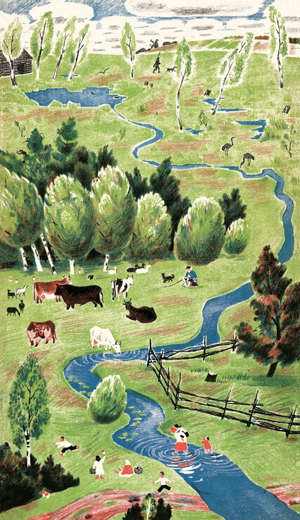 Река. Комплект из двух книг в папке. Елена Сафонова