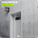 Табличка с номером помещения "Помещение №40", номер на дверь, 30 х 10 см, серия COSMO, черная, Айдентика Технолоджи