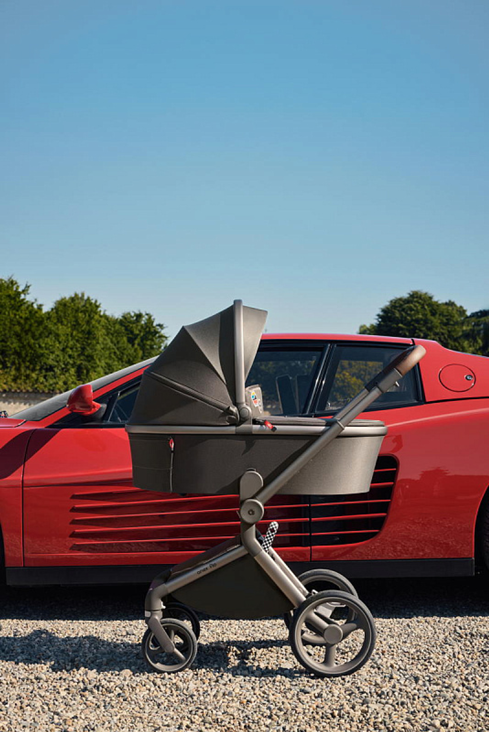 Детская коляска Anex Flo 2 в 1 Cesar