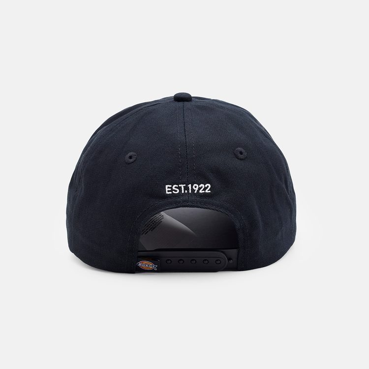 Кепка Dickies Hardwick 6 Panel Logo Cap  артикул:DK0A4TKVBLK1 - купить в магазине Дайс