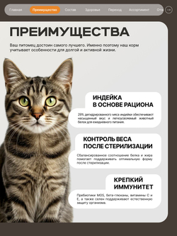 Корм сухой для стерилизованных кошек всех пород, с индейкой, 5 кг, QUATTRO