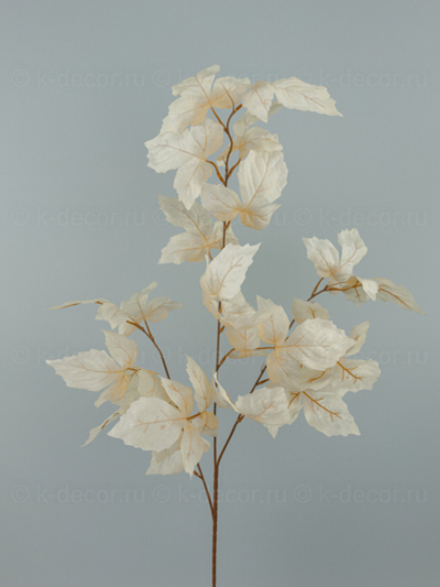 Ветка Осенняя