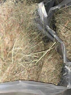 Сено луговое разнотравье 17 кг в пакете Самовывоз Софийская 93Д