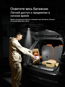 Проекция логотипа Li